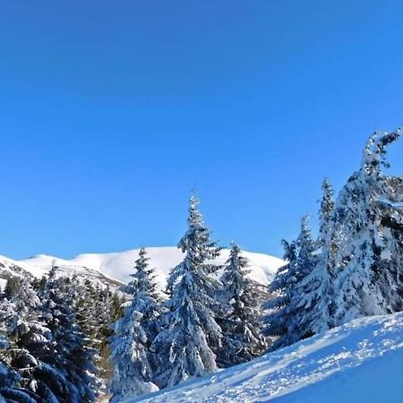 Stara Planina Vila Vesela Kuca Jalovik Izvor エクステリア 写真