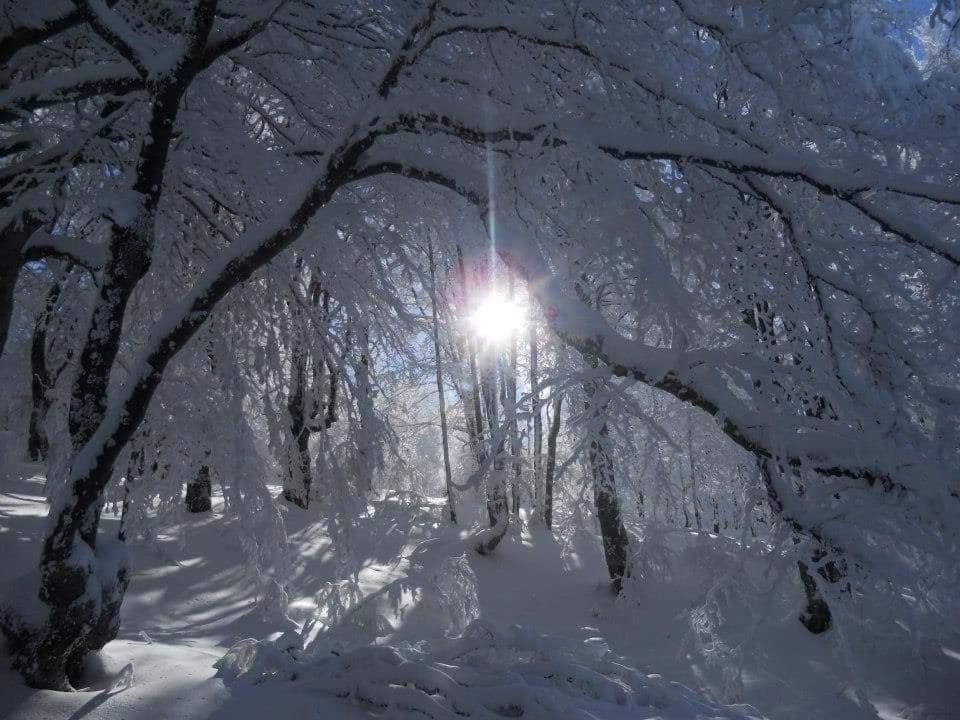 Stara Planina Vila Vesela Kuca Jalovik Izvor エクステリア 写真