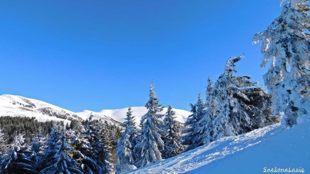 Stara Planina Vila Vesela Kuca Jalovik Izvor エクステリア 写真