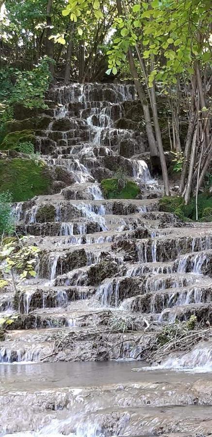 Stara Planina Vila Vesela Kuca Jalovik Izvor エクステリア 写真