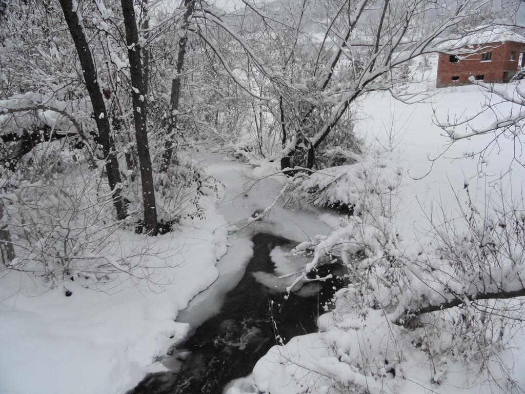 Stara Planina Vila Vesela Kuca Jalovik Izvor エクステリア 写真